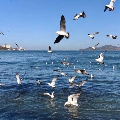 Nina Zulkifli avatar